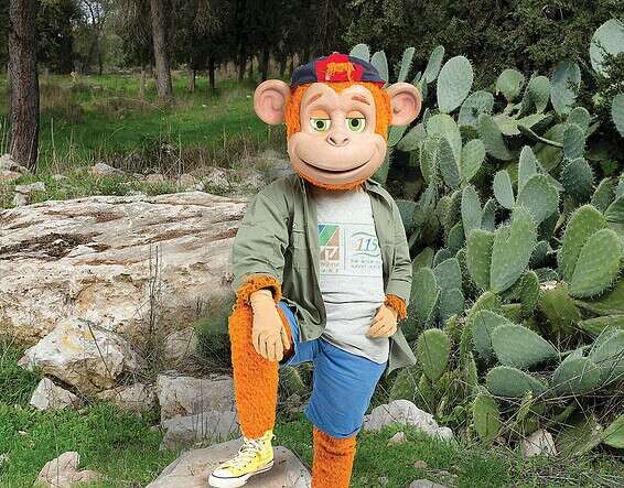 "קופיקו" // צילום: מוניקה פיץ